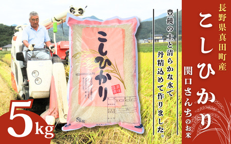 [ふるなびWEEK]米 令和7年 関口さんちのお米 コシヒカリ 5kg お米 こめ コメ 精米 白米 ご飯 こしひかり 長野 信州