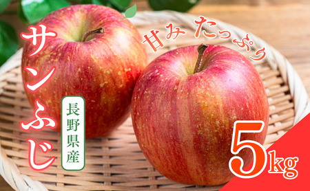 サンふじ 5kg りんご リンゴ 林檎 果物 フルーツ 長野