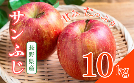 Tӂ@10kg@ S ь ʕ t[c 