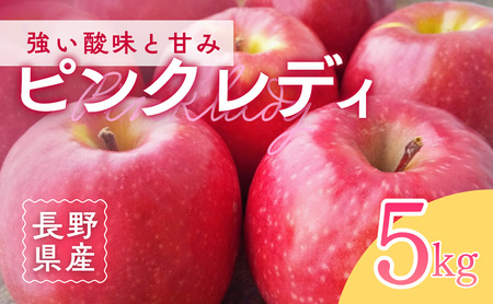 ピンクレディー(R) 5kg りんご リンゴ 林檎 果物 フルーツ 長野
