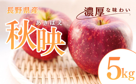 秋映 5kg りんご リンゴ 林檎 果物 フルーツ 長野