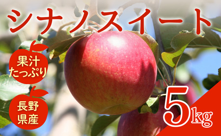 シナノスイート 5kg りんご リンゴ 林檎 果物 フルーツ 長野
