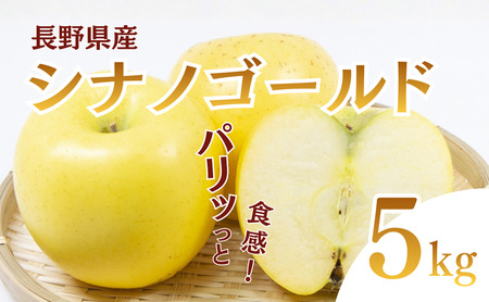 シナノゴールド 5kg りんご リンゴ 林檎 果物 フルーツ 長野