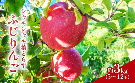 �V���L�V���L�t�Ƃ炸 �ӂ���� ��3kg ���ʍ͔|�_�Y�� ���쌧�Y �󂠂� ��� �����S �t���[�c �ʕ� ����� �f�U�[�g �M�B ��c �ƒ�p