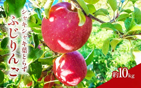 �V���L�V���L�t�Ƃ炸 �ӂ���� ��10kg ���ʍ͔|�_�Y�� ���쌧�Y �󂠂� ��� �����S �t���[�c �ʕ� ����� �f�U�[�g �M�B ��c �ƒ�p