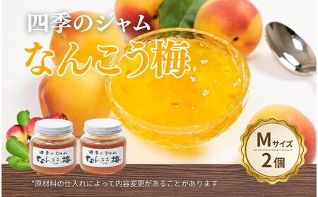 なんこう梅(M)2個セット ジャム 手作り セット 梅 朝食 軽食 上田市