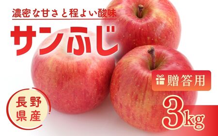 りんご サンふじ 3kg 贈答用 信州 フルーツ 果物 サンふじりんご 林檎 リンゴ サンふじ くだもの 旬の果物 旬のフルーツ 信州産 長野県産 長野 長野県 上田市