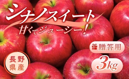 りんご シナノスイート 3kg 贈答用 信州 フルーツ 果物 林檎 リンゴ くだもの 旬の果物 旬のフルーツ 信州産 長野県産 長野 長野県 上田市