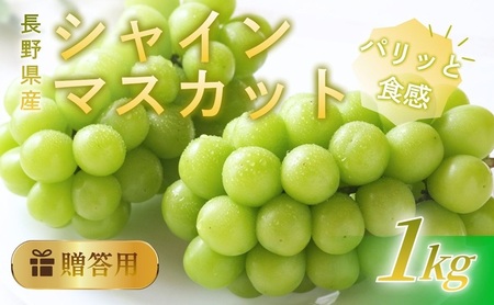 シャインマスカット 1kg 贈答用 信州 フルーツ 果物 ぶどう ブドウ 葡萄 マスカット くだもの 旬の果物 旬のフルーツ 信州産 長野県産 長野 長野県 上田市