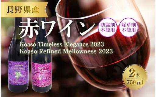 Koaso 長期熟成向き赤ワイン2023ヴィンテージ 2本セット ワイン 日本ワイン 赤 上田市