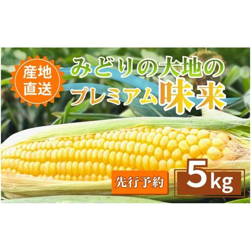 [先行予約]とうもろこし プレミアム味来 みどりの大地 5kg(8〜12本入り) 茹でとうもろこし スイートコーン ミラクルコーン 甘いコーン 野菜 長野県 信州 上田