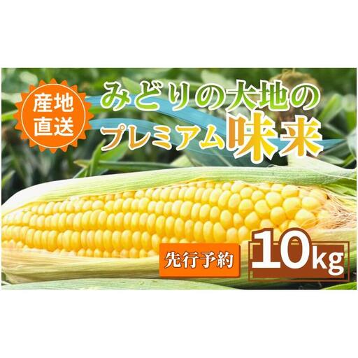 【先行予約】とうもろこし プレミアム味来 みどりの大地 10kg（16～24本入り） 茹でとうもろこし スイートコーン ミラクルコーン 甘いコーン 野菜 長野県 信州 上田