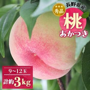 長野県産 桃 (あかつき) 約3キロ 秀品[2025年07下旬〜08下旬発送][配送不可地域:離島・北海道・沖縄県]