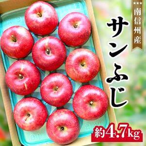 南信州産サンふじ約4.7kg