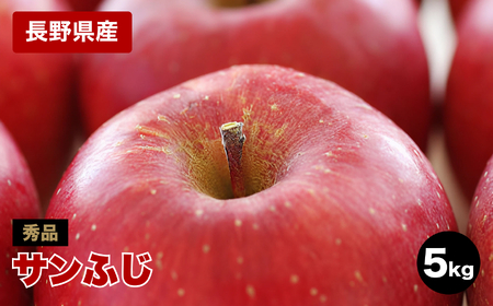 太陽の光をたっぷりと浴びた 長野県産りんご(サンふじ)約5kg 秀品[2025年11月下旬〜12月中旬発送] | 果物 くだもの フルーツ りんご リンゴ 林檎 長野県 信州 南信州 飯田市