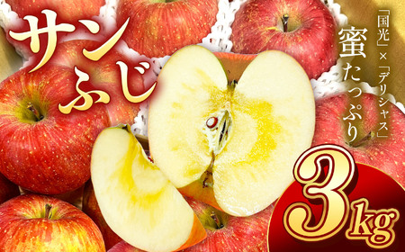 人気 の 品種 ! 長野県産 りんご サンふじ 約3kg 秀品 [2025年11月下旬〜12月中旬発送] | 果物 くだもの フルーツ りんご 林檎 リンゴ サンふじ 長野県 信州 南信州 飯田市