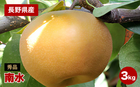 ジューシーで甘い! 長野県産 梨 なし 南水 約3kg 秀品 [2025年9月中旬〜10月中旬発送]| 果物 くだもの フルーツ 梨 なし 南水 長野県 信州 南信州 飯田市