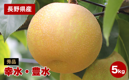 溢れる果汁 ジューシーな 梨 幸水 豊水 秀品 約5kg〈2026年8月下旬～9月中旬発送〉| 長野県 飯田市