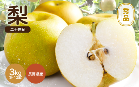 滴る程に ジューシー な 梨 長野県産 なし 二十世紀 約3kg 秀品 [2025年9月上旬〜9月末発送]| 果物 くだもの フルーツ なし 梨 二十世紀 長野県 信州 南信州 飯田市