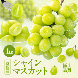 大人気! 長野県産 シャインマスカット 約1kg 秀品 [2025年9月中旬〜11月上旬発送]| 果物 くだもの フルーツ ぶどう ブドウ 葡萄 長野県 信州 南信州 飯田市