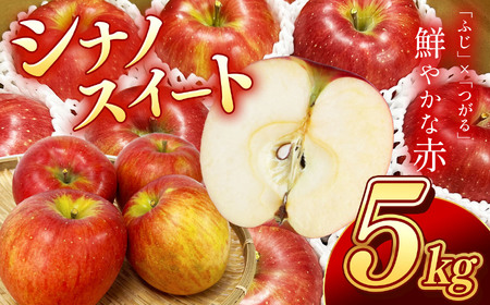 南信州産 りんご シナノスイート 約5kg [2025年9月〜10月発送] | 果物 くだもの フルーツ シナノスイート 林檎 りんご リンゴ 信濃 新鮮 長野県 信州 南信州 飯田市