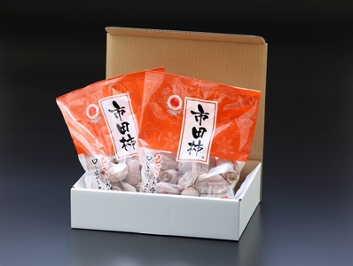 市田柿 バラ ふぞろい 約1kg 500g パック × 2袋 JAみなみ信州DMセンター | 柿 かき 干し柿 干しがき 市田柿 信州 国産 ドライフルーツ 甘い 果物 フルーツ くだもの 送料無料 ふるさと納税 長野県 飯田市