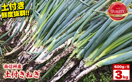 [南信州産]土付きねぎ 3kg(600g×5袋) JAみなみ信州DMセンター飯田市 | 土付きねぎ ねぎ ネギ 野菜 南信州 新鮮 送料無料 ふるさと納税 長野県 飯田市