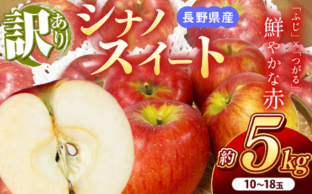 南信州産 シナノスイート 訳あり 約5kg 10〜18玉 JAみなみ信州DMセンター飯田市 | シナノスイート 林檎 りんご アップル つがる ふじ 果物 フルーツ 南信州 送料無料 ふるさと納税 長野県 飯田市