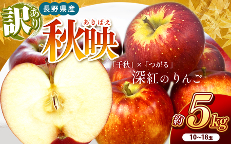 南信州産 秋映 訳あり 約5kg 10〜18玉 JAみなみ信州DMセンター飯田市 | 秋映 りんご 林檎 アップル 千秋 つがる 果物 フルーツ 南信州 送料無料 ふるさと納税 長野県 飯田市