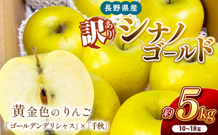 南信州産 シナノゴールド 訳あり 約5kg 10〜18玉 JAみなみ信州DMセンター飯田市 | 林檎 りんご リンゴ シナノゴールド ジューシー 果汁 果物 フルーツ 南信州 送料無料 ふるさと納税 長野県 飯田市