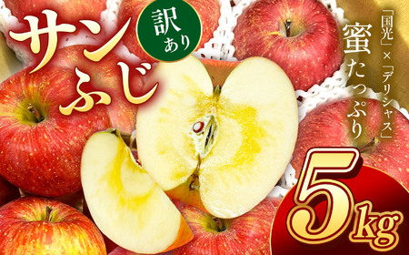南信州産 サンふじ 訳あり 約5kg 10〜20玉 JAみなみ信州DMセンター飯田市 | りんご リンゴ 林檎 サンふじ さんふじ 果物 ジューシー フルーツ 南信州 送料無料 ふるさと納税 長野県 飯田市
