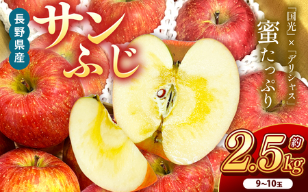 南信州産 サンふじ 約2.5kg 9〜10玉 | りんご 林檎 リンゴ サンふじ 果物 フルーツ ジューシー 信州 南信州 送料無料 ふるさと納税 長野県 飯田市