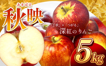 南信州産 秋映 りんご 秀品 約5kg 10〜18玉 | 秋映 りんご 林檎 リンゴ 果汁 果物 フルーツ 信州 南信州 送料無料 ふるさと納税 長野県 飯田市