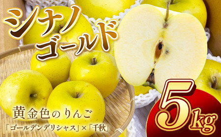 南信州産 シナノゴールド 約5kg 10〜18玉 秀品 JAみなみ信州DMセンター飯田市 | フルーツ 果物 りんご 林檎 シナノゴールド 黄色いりんご 長野県 飯田市