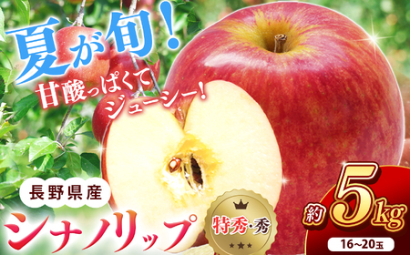 南信州産 シナノリップ 秀品 約5kg 16〜20玉 JAみなみ信州DMセンター飯田市 | シナノリップ りんご 林檎 リンゴ 果物 フルーツ 果汁 信州 南信州 送料無料 ふるさと納税 長野県 飯田市