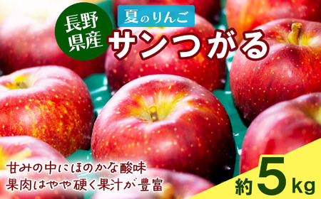 [南信州産]サンつがる 約5kg 秀品 | サンつがる りんご 林檎 リンゴ 果物 フルーツ 果汁 信州 南信州 送料無料 ふるさと納税 長野県 飯田市