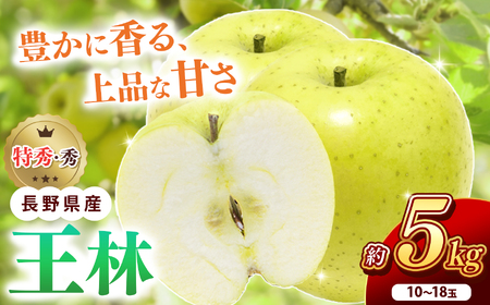 南信州産 王林 約5kg 秀品 10〜18玉 | 王林 おうりん 林檎 りんご リンゴ 信州 南信州 送料無料 ふるさと納税 長野県 飯田市