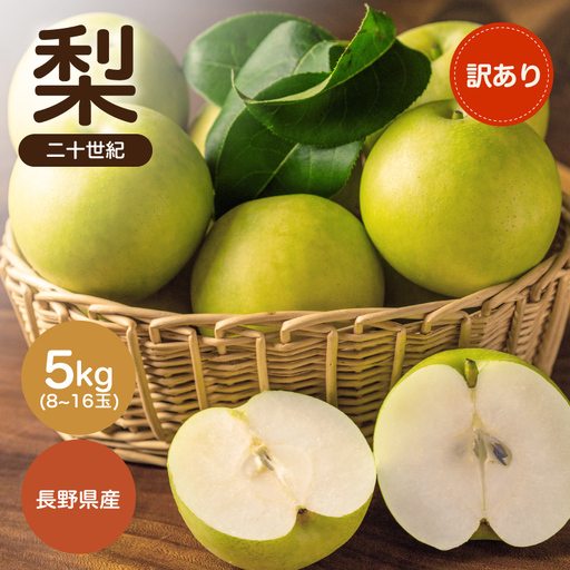 [2026年先行予約]南信州産 二十世紀 約5kg 訳あり 8〜16玉 [2026年9月上旬〜順次発送] JAみなみ信州DMセンター|長野県 飯田市