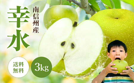 南信州産 梨[幸水]3kg | 果物 くだもの フルーツ なし 幸水 和梨 梨 長野県 信州 飯田市