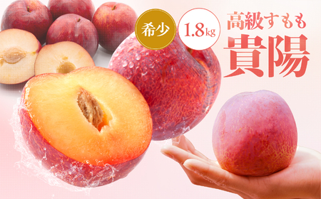 南信州 飯田産 贈答用 高級すもも 貴陽 約1.8kg[2025年先行受付] やまやす中島農園 | 果物 くだもの フルーツ すもも 貴陽 ジューシー 贈答用 贈り物 プレゼント 長野県 飯田市 信州
