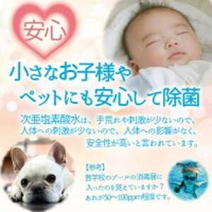 次亜塩素酸水 除菌 セット ( 除菌スプレー 1本 ・ 除菌剤 30包入 ) | 除菌 消臭 遊離残留塩素 希釈タイプ 簡単 経済的 国内製造 信州 長野県 飯田市