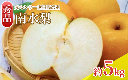 [9月上旬から発送予定] 南信州 生まれ の ジューシー で 甘い 梨 南水梨 約5kg 光センサー 選別 秀品 | 長野県 飯田市