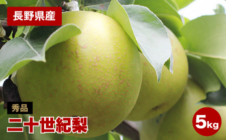 滴る程にジューシー 長野県産 なし 二十世紀 約5kg 秀品 [2025年9月上旬〜9月末発送] | 果物 くだもの フルーツ 梨 なし 二十世紀梨 長野県 信州 南信州 飯田市