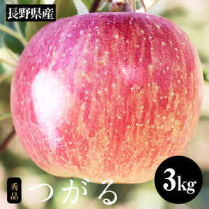 長野県産 早生 りんご サンつがる 約3kg 秀品 〈2025年9月上旬～9月中旬発送〉| 果物 くだもの フルーツ りんご リンゴ 林檎 つがる 長野県 信州 南信州 飯田市