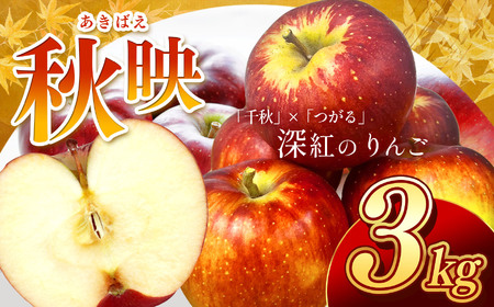 芳醇な香り 長野県産 深紅色 りんご 秋映 約3kg 秀品 [2025年9月下旬〜10月中旬発送]| 果物 くだもの フルーツ りんご リンゴ 林檎 長野県 信州 南信州 飯田市