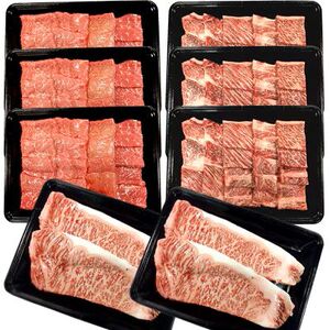 肉 牛 南信州牛 焼肉 & ステーキ セット ( サーロインステーキ360g(約180g×2枚)×2パック、モモ焼肉用400g×3パック、肩ロース焼肉用350g×3パック ) 