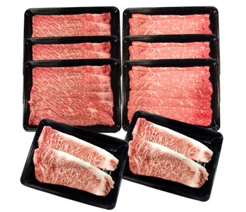 肉 牛 南信州牛 すき焼 & ステーキ セット ( サーロインステーキ 360g(約180g×2枚)×2パック、モモ 焼肉用 400g×3パック、肩ロース 焼肉用 350g×3パック ) 