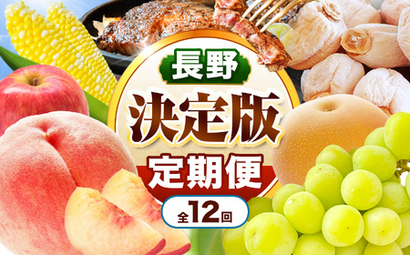 飯田市 定期便[決定版]| フルーツ 果物 お菓子 スイーツ 肉 焼肉 干し柿 市田柿 野菜 とうもろこし 桃 梨 りんご シャインマスカット 信州 詰め合わせ セット 定期 長野県 飯田市