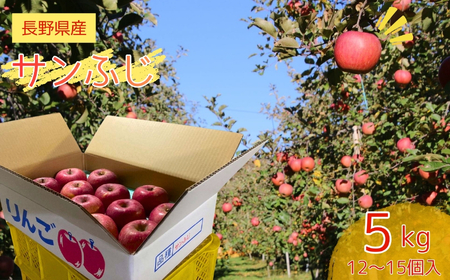  쌧Y Tӂ 5kg 12 ` 15  | MB  S ӂ 쌧 ѓcs