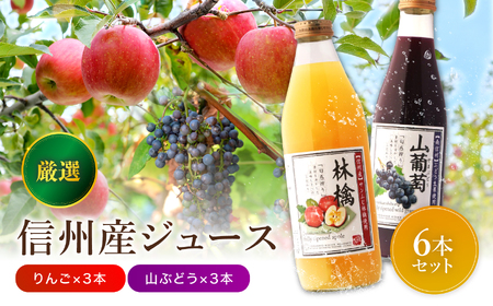 厳選素材 信州産 ジュース 6本 セット | 小池手造り農産加工所